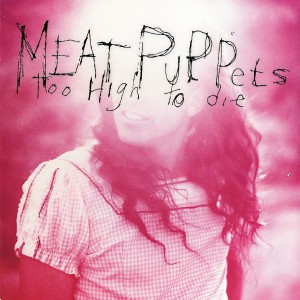 ดาวน์โหลดและฟังเพลง Why? พร้อมเนื้อเพลงจาก Meat Puppets