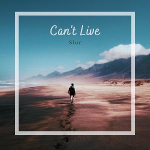 Album Cant Live Without You from Slur