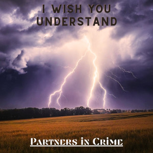 Listen to I Wish You Understand song with lyrics from Partners in Crime