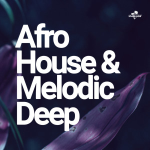 Listen to Dust on the Moon song with lyrics from Lounge Ibiza Cafè