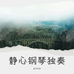Album 静心钢琴独奏 from prince