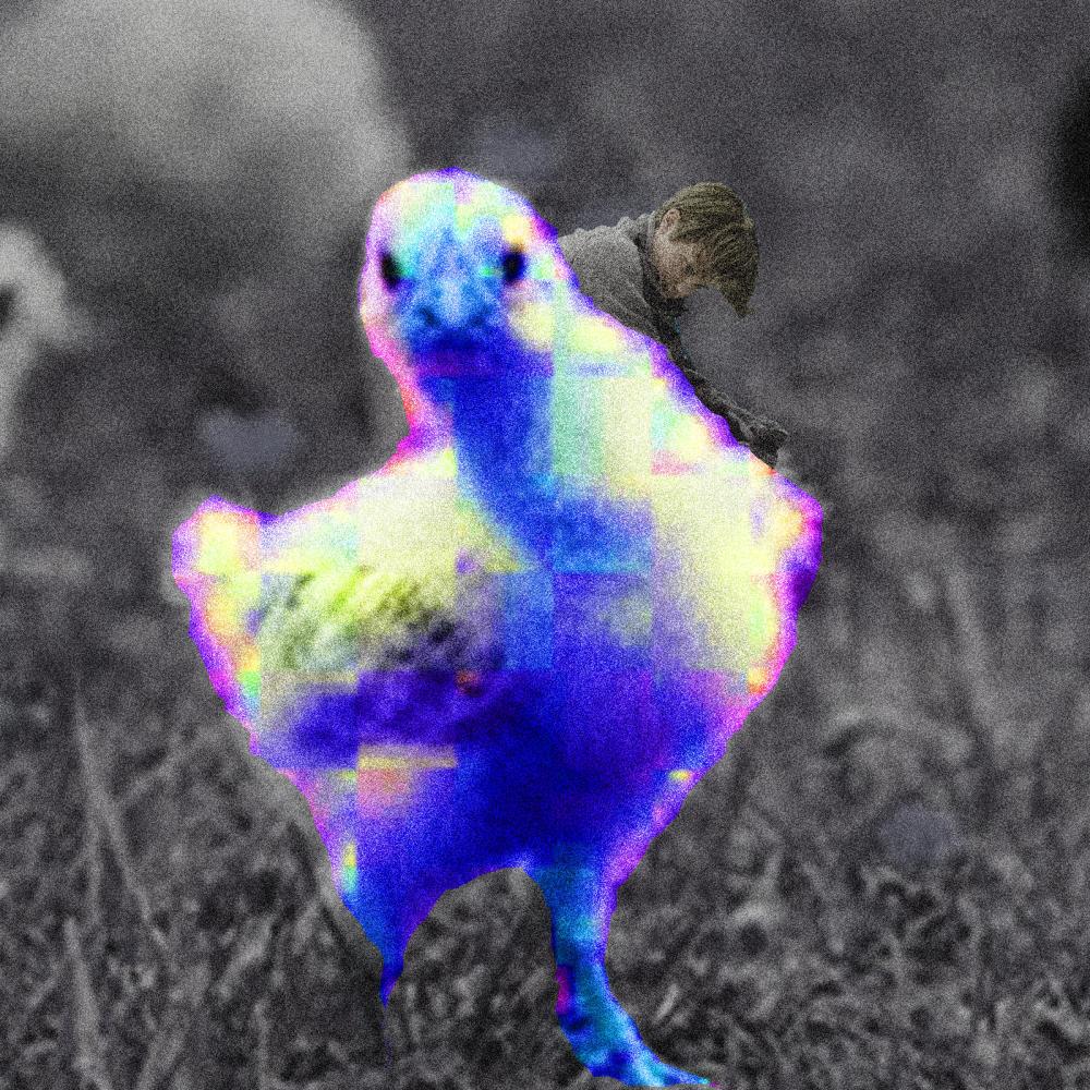 chicken song (Explicit)