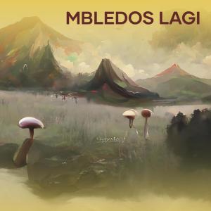 收聽Yaampun Irwan的MBLEDOS LAGI歌詞歌曲