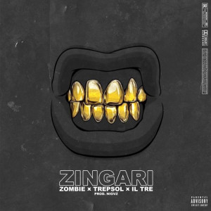 Album Zingari (Explicit) from ZO