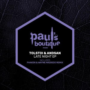 Listen to Late Night (Fhaken & Wayne Madiedo Remix) song with lyrics from Andsan