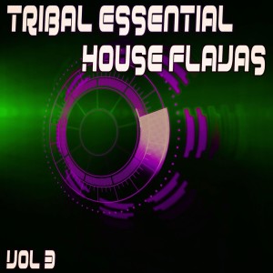 Listen to Disco Blanco (Tribal Move Mix) song with lyrics from Dj Pongo