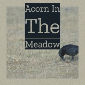 Listen to Leg Iron Blues song with lyrics from Curley Weaver