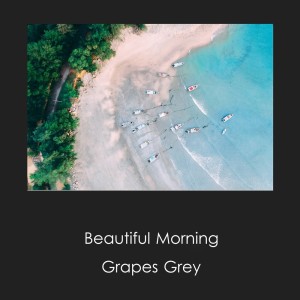 收听Grapes Grey的Beautiful Morning歌词歌曲