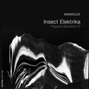 อัลบัม Pregnant Electricity LP ศิลปิน Insect Elektrika
