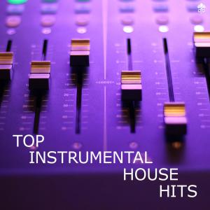 Album Top Instrumental House Hits from Various
