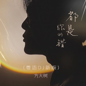 收聽方大樹的都是你的錯 (粵語DJ新版)歌詞歌曲