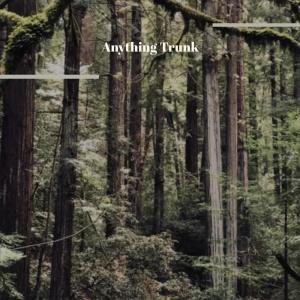 Various的专辑Anything Trunk