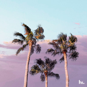 Album All I Need Is Palms from 