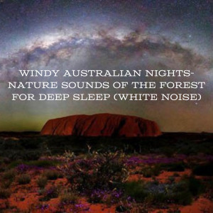 Natural Sounds的專輯Windy Australian Nights- Nature Sounds of the Forest for Deep Sleep (White Noise)