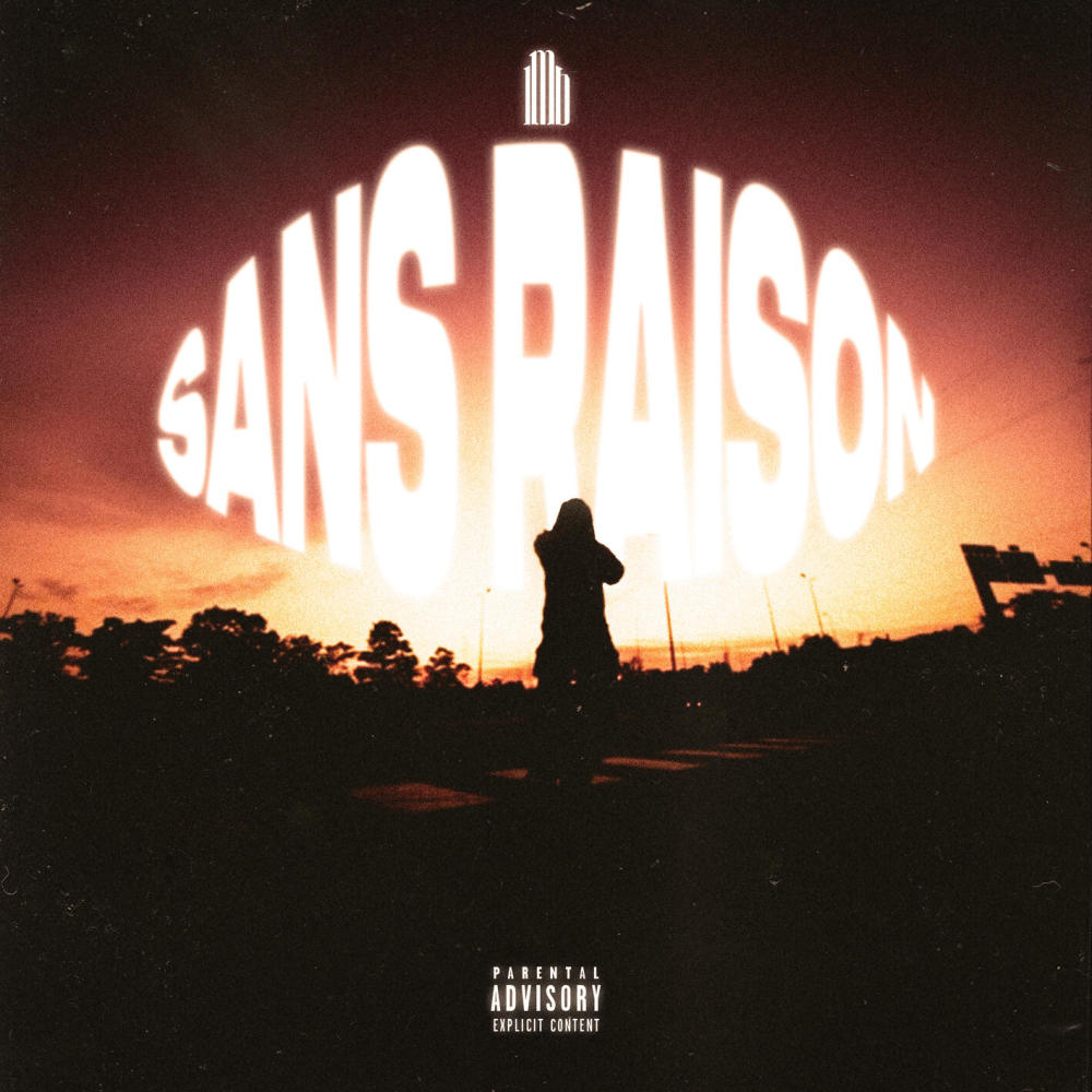 Sans raison