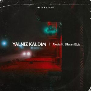 Dengarkan lagu Yalnız Kaldım (feat. Elleran Elvis) (Explicit) nyanyian Alesta dengan lirik