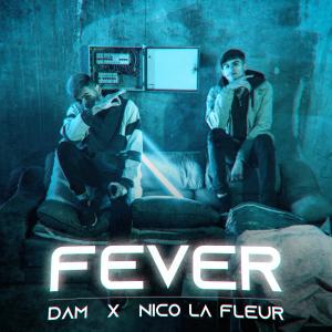 收聽Dam SSJ的Fever (Explicit)歌詞歌曲