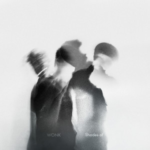 ดาวน์โหลดและฟังเพลง Life Like This พร้อมเนื้อเพลงจาก WONK