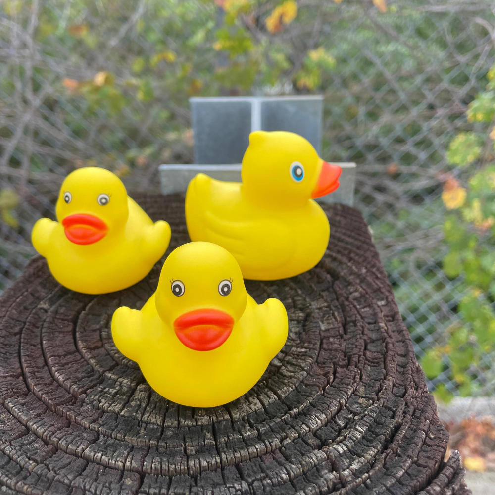 The name is Duck