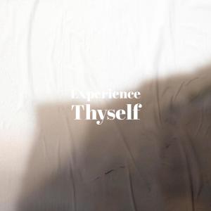 Various Artists的專輯Experience Thyself