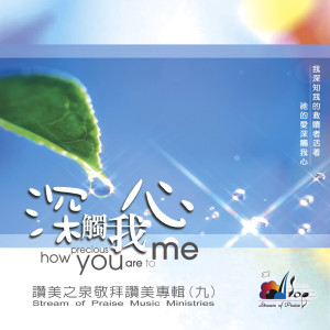 Listen to 深觸我心 How Precious You Are To Me song with lyrics from 赞美之泉 Stream of Praise