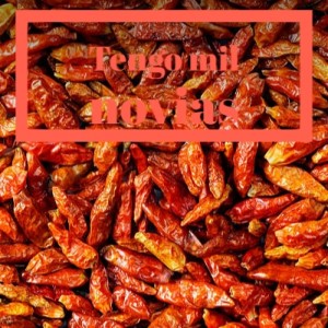 Dengarkan Con Permiso Soy El Tango lagu dari Alberto Castillo dengan lirik