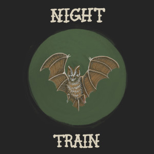 Album Night Train from DeWolff
