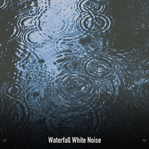 Album !!!!" Waterfall White Noise "!!!! from White Noise Therapy