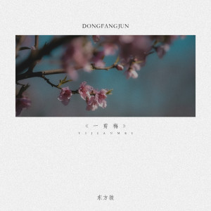 Album 一剪梅 from 