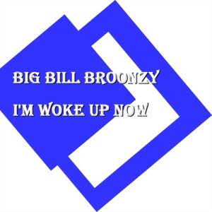 ดาวน์โหลดและฟังเพลง Just A Dream พร้อมเนื้อเพลงจาก Big Bill Broonzy