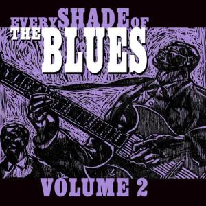 ดาวน์โหลดและฟังเพลง Baby Please Don’t Go พร้อมเนื้อเพลงจาก Big Joe Williams