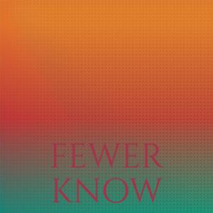 Various的专辑Fewer Know