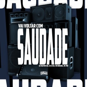 Album Volta Com Saudade (Explicit) from DJ MARTINS 061