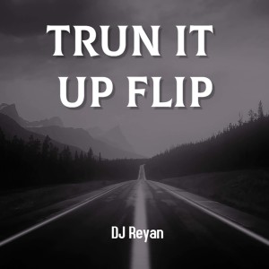 Dengarkan Trun It Up Flip lagu dari DJ Reyan dengan lirik