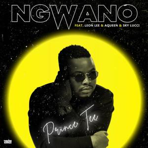 Prince Tee的专辑Ngwano