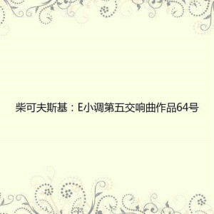 Listen to 第四乐章：终曲 庄严的行板 活泼的行板 song with lyrics from 新雅室内乐