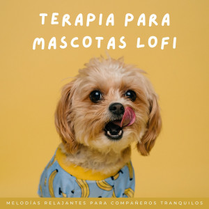 Terapia Para Mascotas Lofi: Melodías Relajantes Para Compañeros Tranquilos dari Lofiwaala
