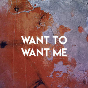 收聽Miami Beatz的Want to Want Me歌詞歌曲