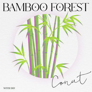 Album BAMBOO FOREST from 코넛
