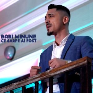 收听Babi Minune的Ce sarpe ai fost歌词歌曲