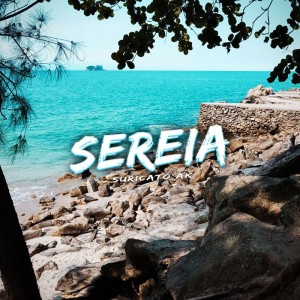 Listen to Sereia song with lyrics from Suricato AK