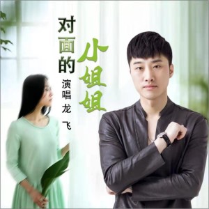 Album 对面的小姐姐 (DJ何鹏版) from 龙飞