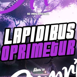 DJ MK4 ORIGINAL的專輯Lapidibus Oprimetur (Explicit)
