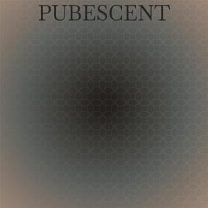 收听Carolane的Pubescent歌词歌曲
