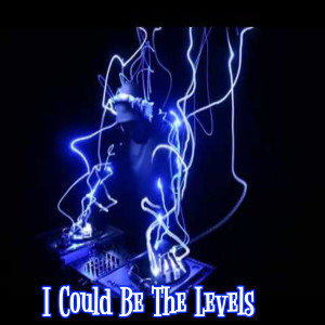 Listen to I Could Be the Levels song with lyrics from DJ Tik Tok