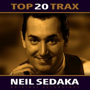 ดาวน์โหลดและฟังเพลง One Way Ticket (To the Blues) พร้อมเนื้อเพลงจาก Neil Sedaka