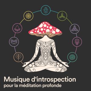 Album Musique d'introspection pour la méditation profonde from 