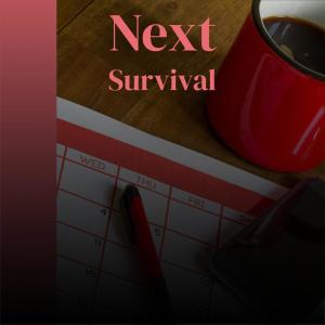 Album Next Survival from Various