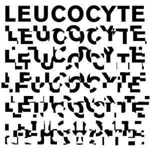 Esbjorn Svensson Trio的專輯E.S.T Leucocyte