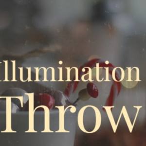 Netta的专辑Illumination Throw